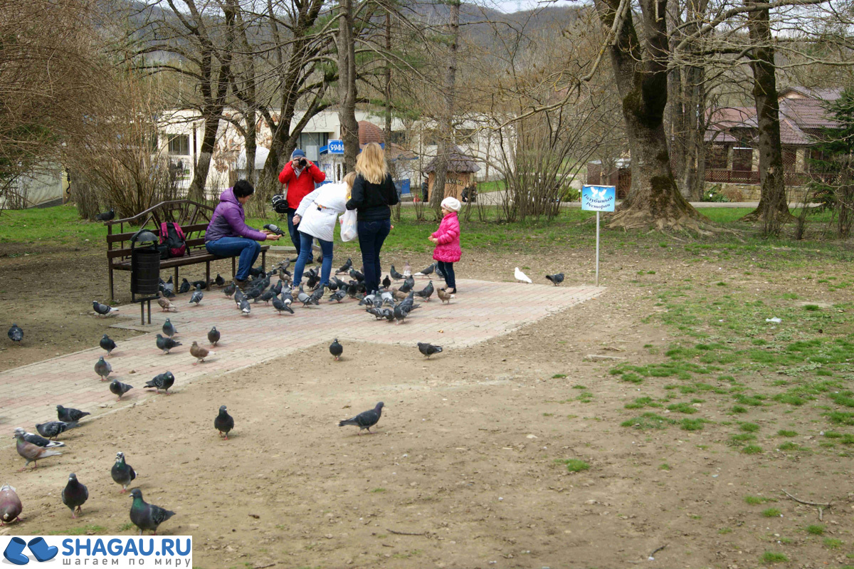 Курорт