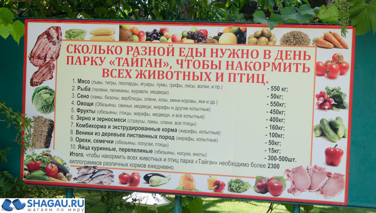 Парк львов Тайган