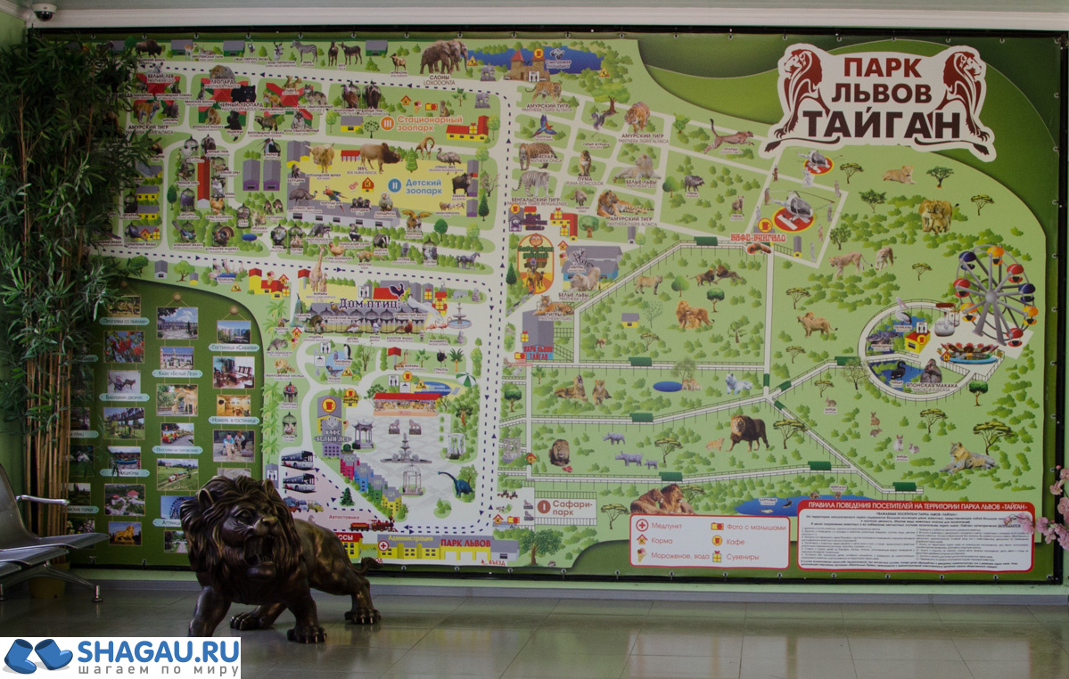 Парк львов Тайган