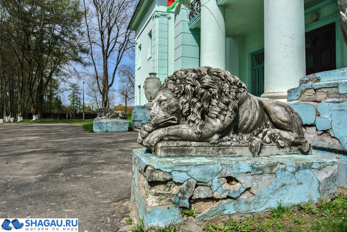 львы белоруссия