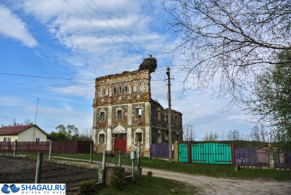 руины усадебного дома Немейки