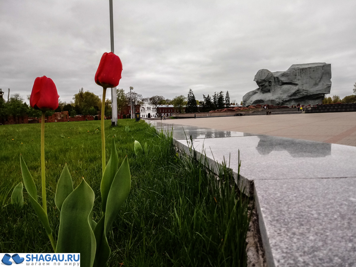 брестская крепость