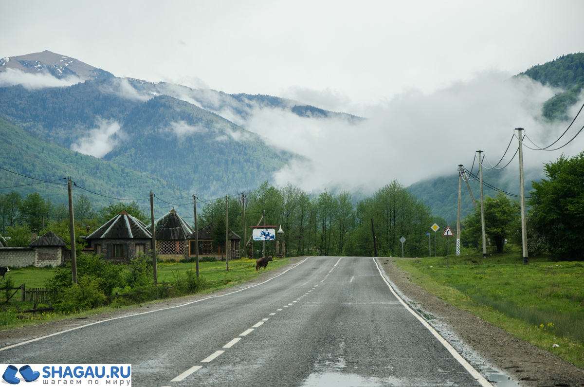 хамышки