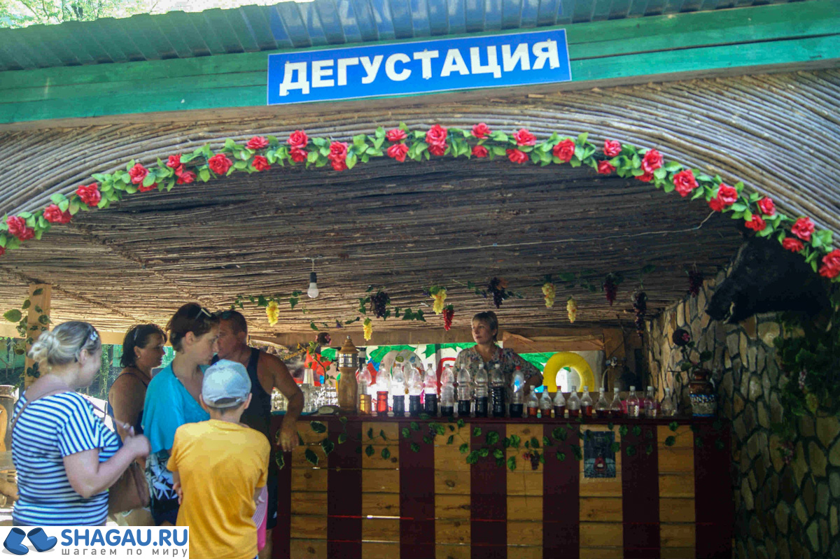 дегустация в горах