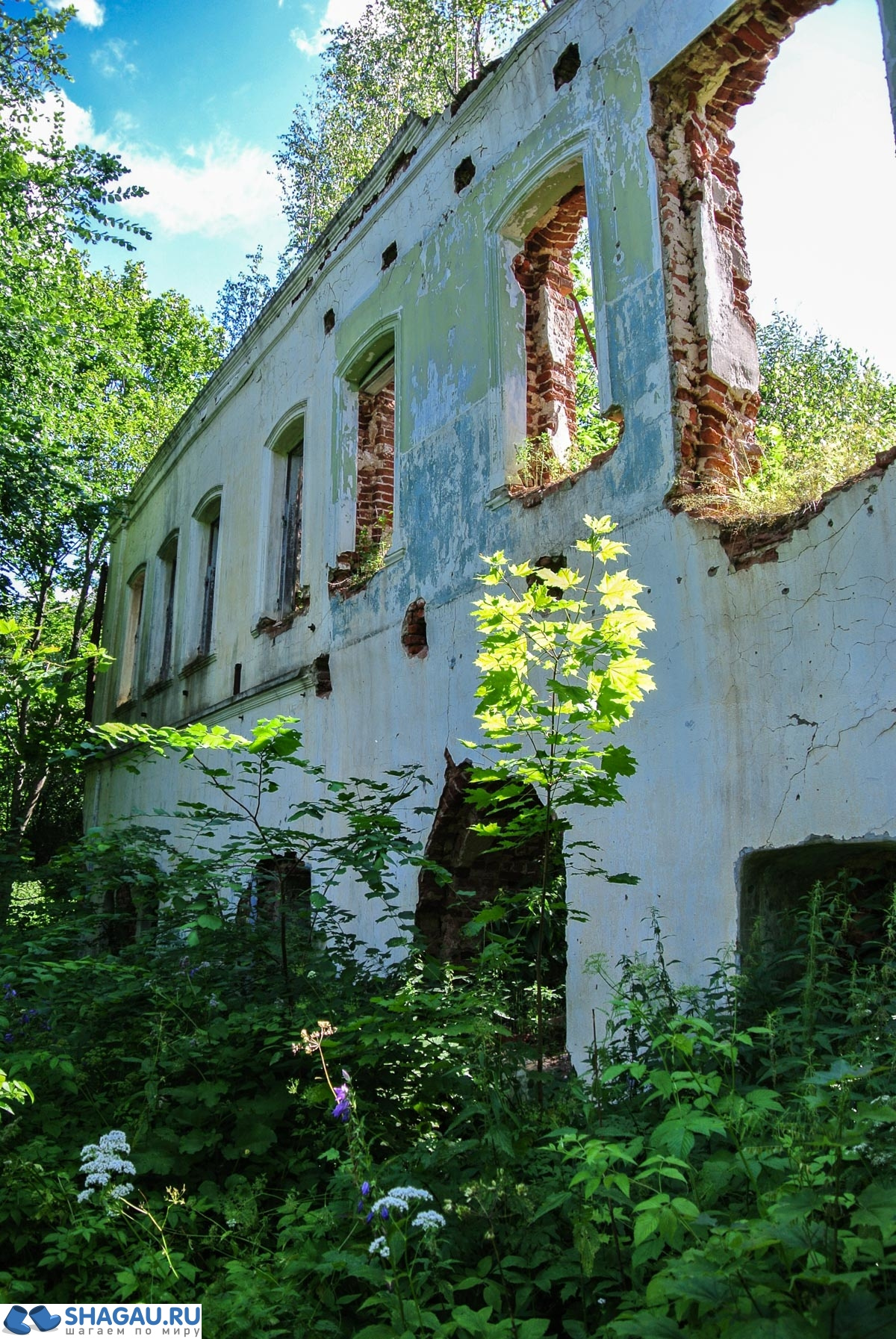 семигорье отель