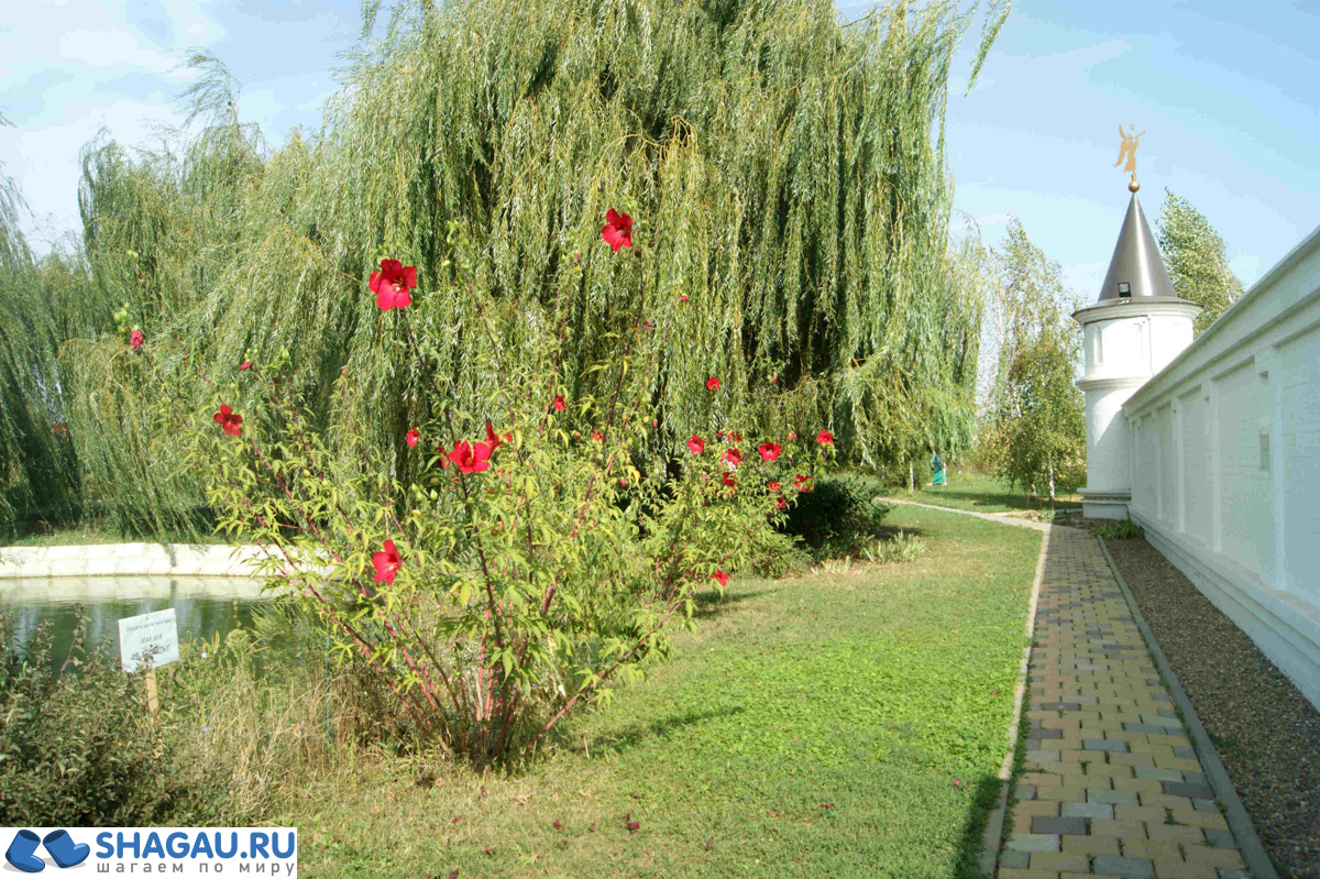 монастырь всецарица