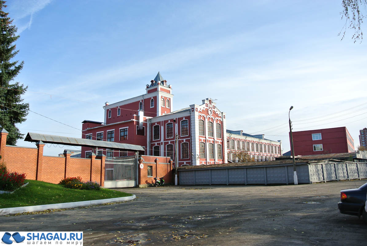 Самостоятельно в Павловский Посад: платки и коты фотография 19