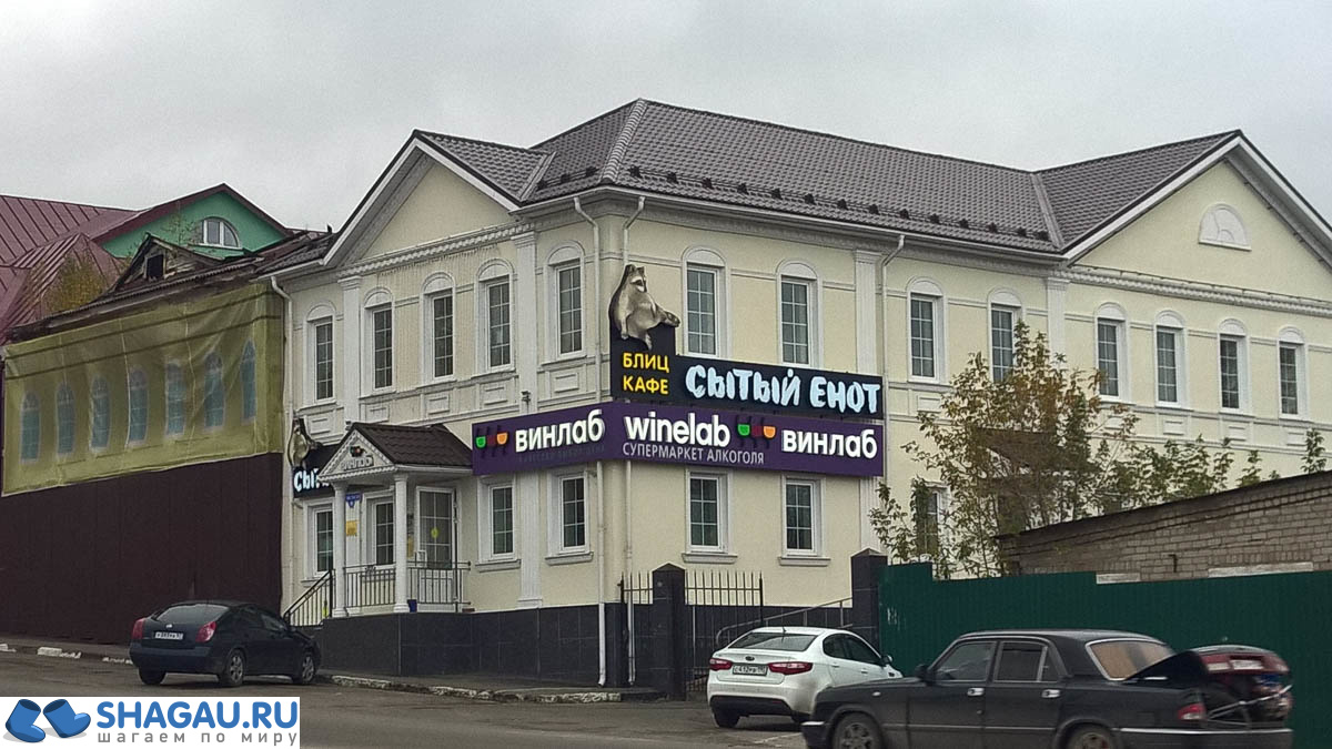 Самостоятельно в Павловский Посад: платки и коты фотография 11