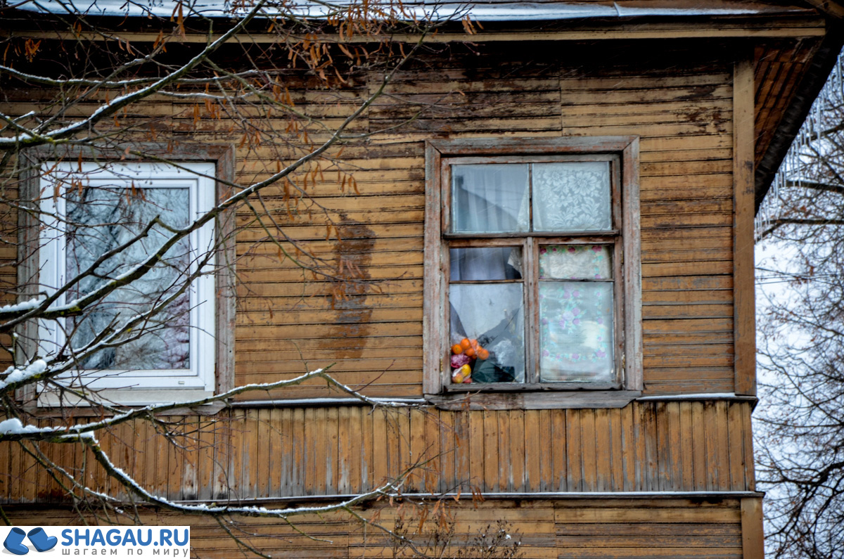 Окна Гатчины